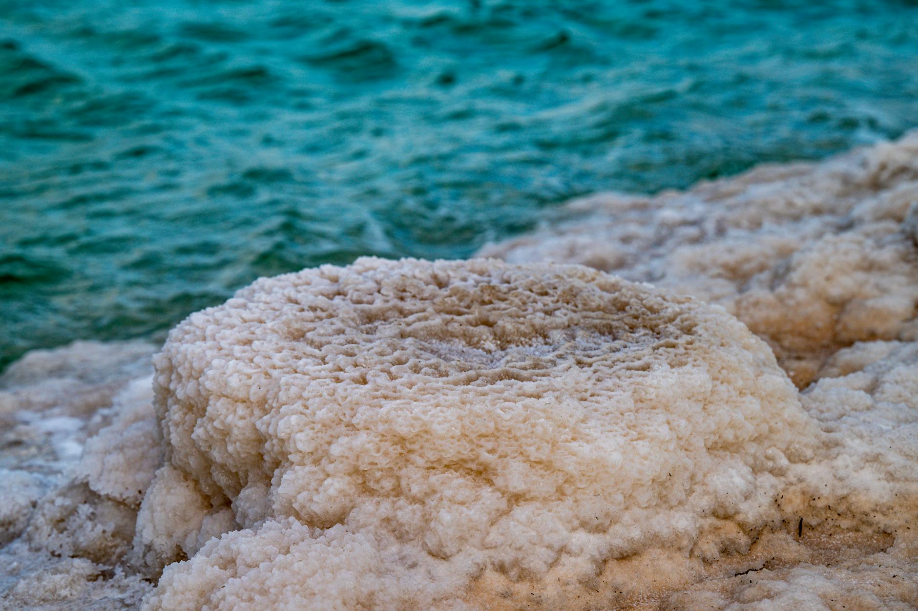 Sea Moss Gummies UK: Benefits, Side Effects, and What to Look For