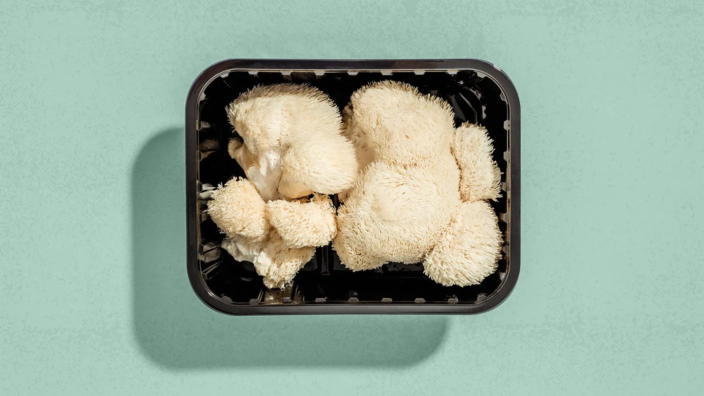 Lion's Mane for Focus and Brain Health UK: What the Evidence Actually Shows